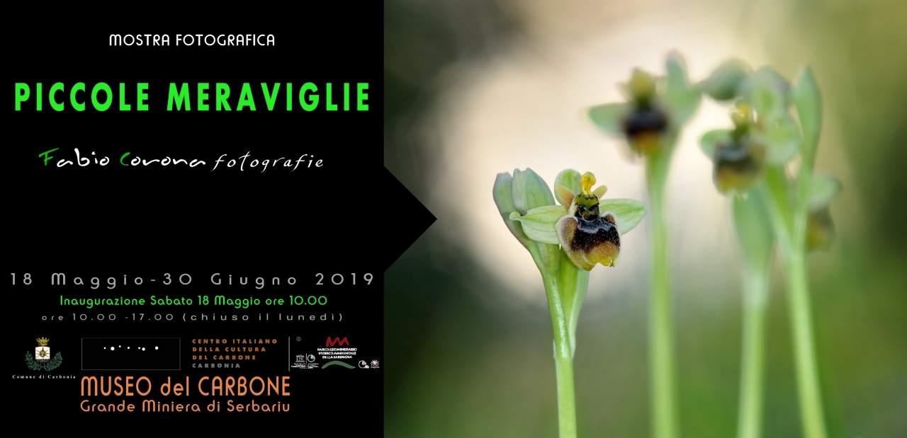 locandina Piccole Meraviglie